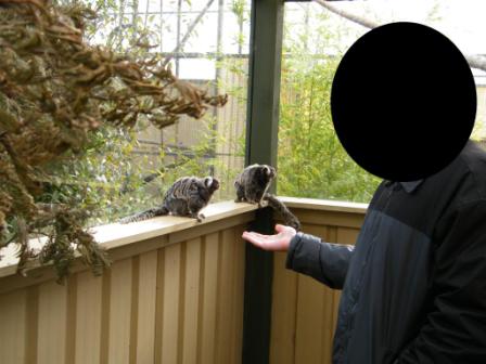 ZooDoo Wildlife Park