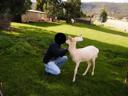 ZooDoo Wildlife Park