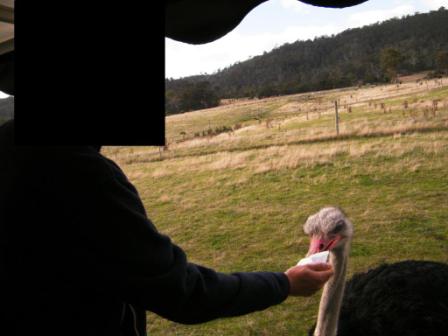 ZooDoo Wildlife Park