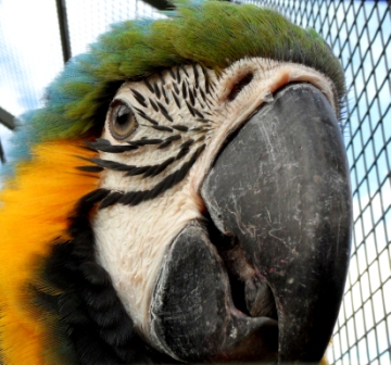 ZooDoo Wildlife Park