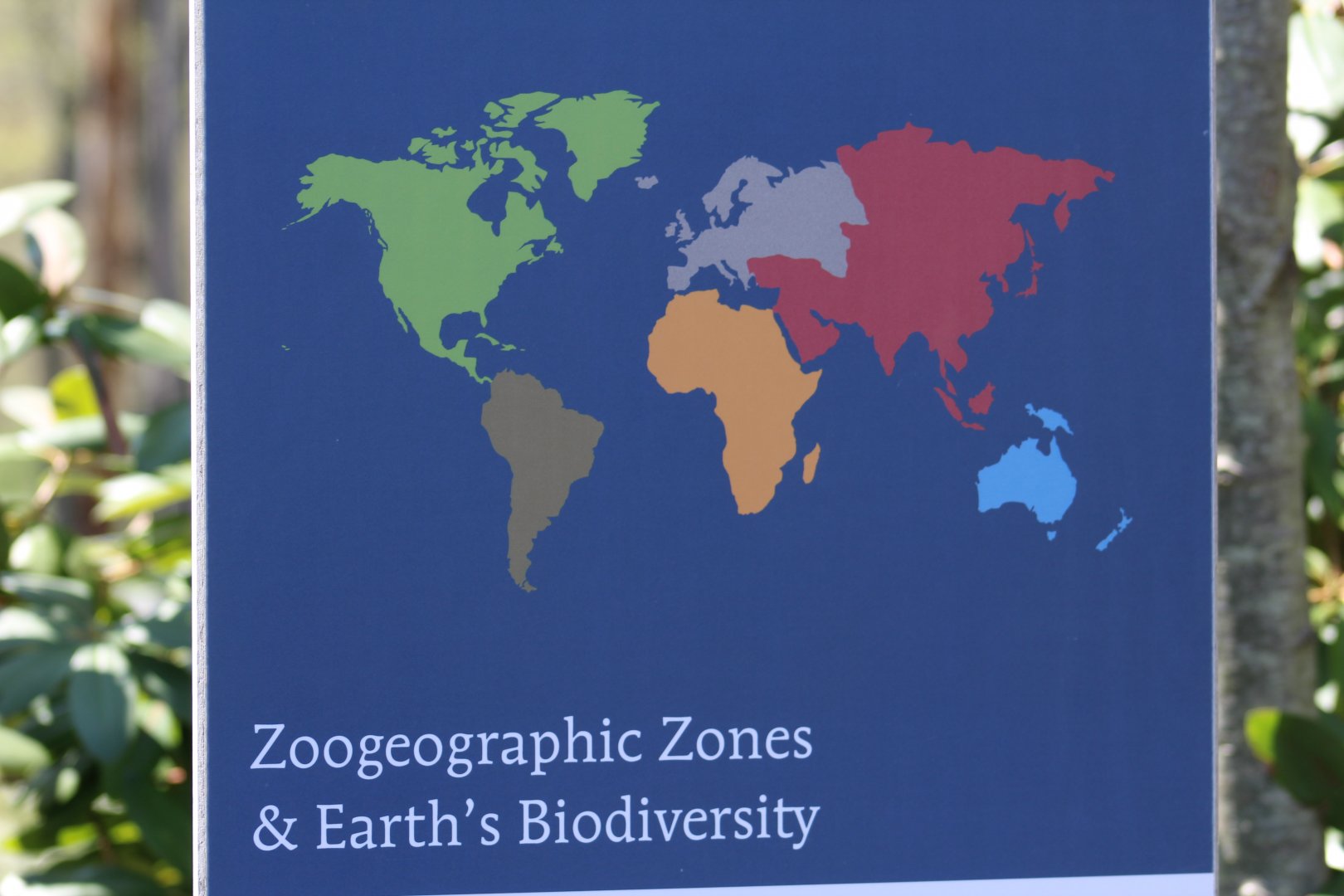 Zoogeographic Zones