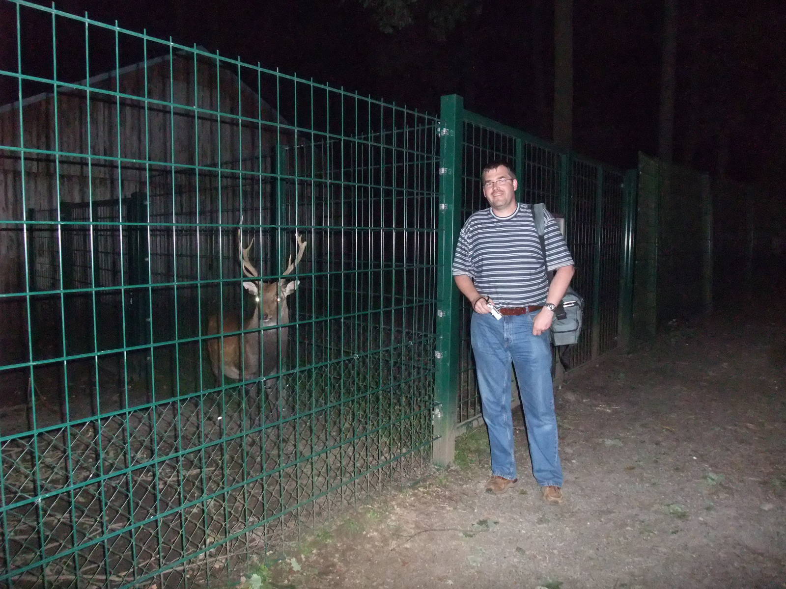 Zoogiraffe and the Night Sika at Wildpark Pforzheim, 02/09/10