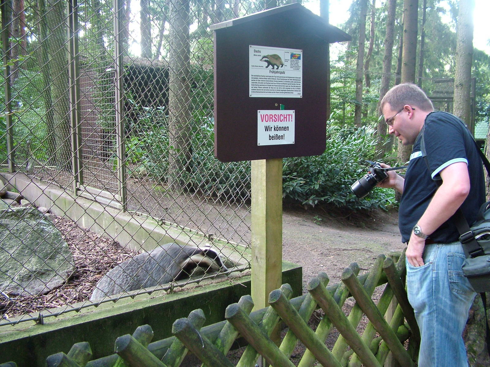 Zoogiraffe interests a badger at Wildpark Lueneberger Heide 2007
