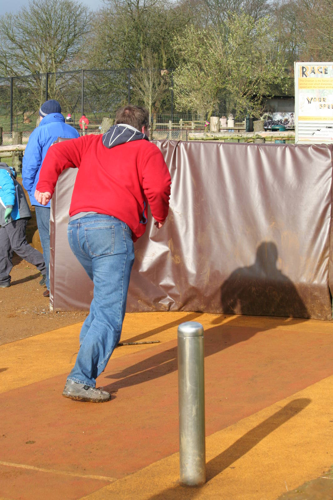 Zoogiraffe on cheetah run