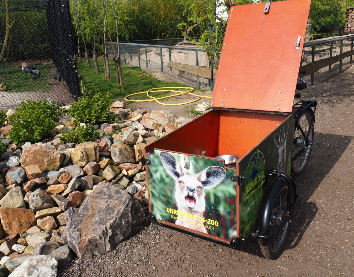Zookeeper feeding carrier tricycle, 2019-04-06