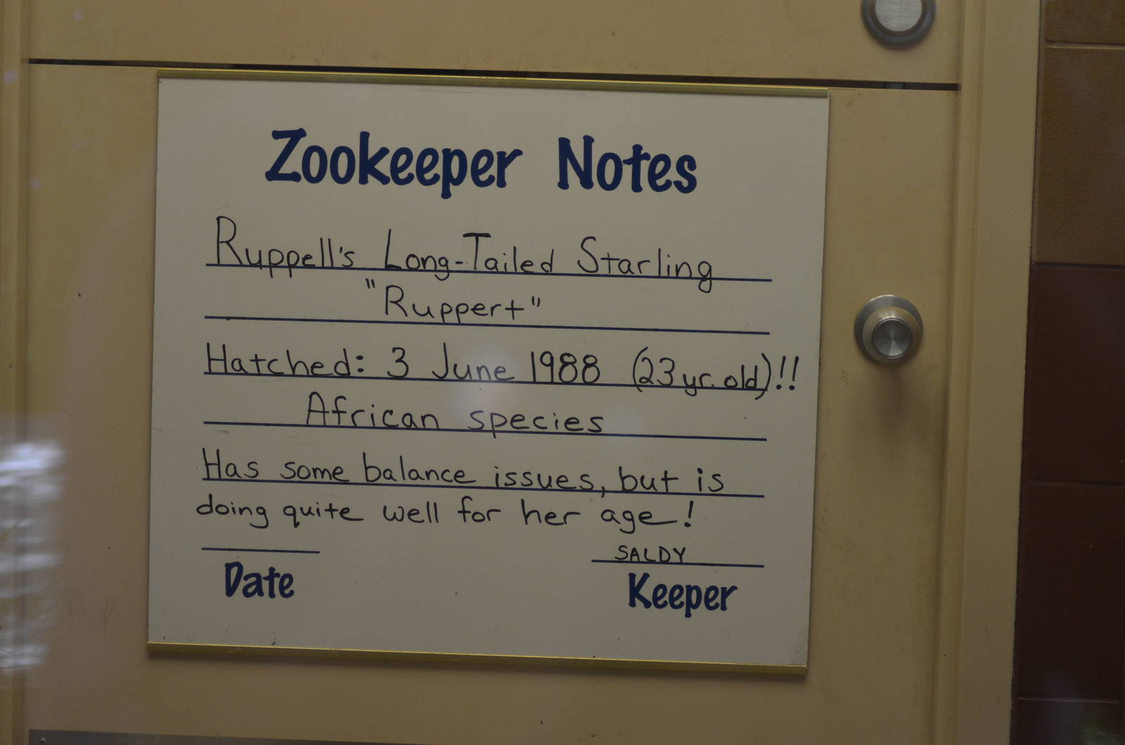 Zookeeper Notes
