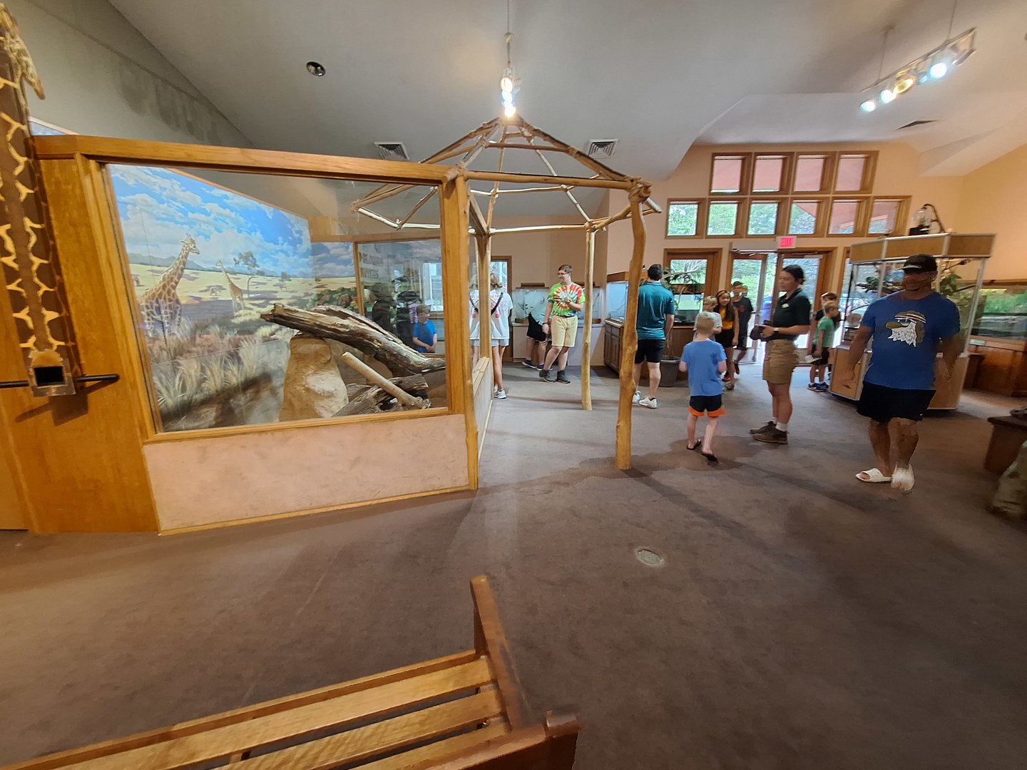 ZooLab Overview (Dwarf Mongoose, Terrariums)