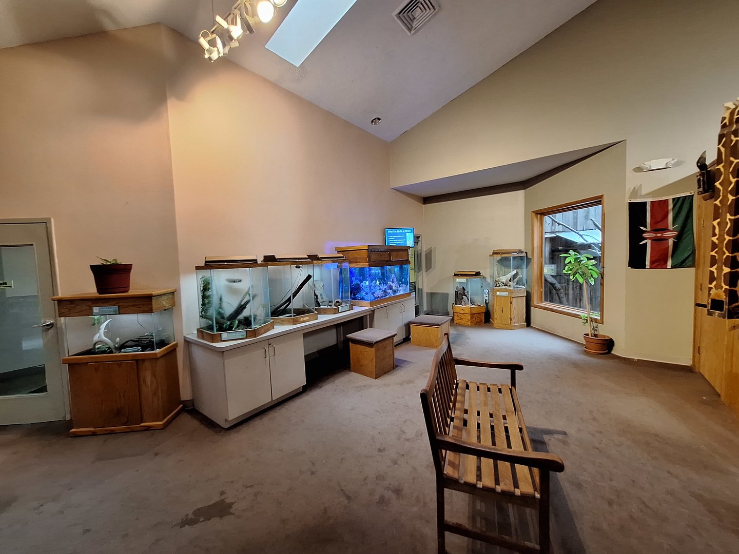 ZooLab Overview (Ringtail, Reef tank, Spiny Mouse)