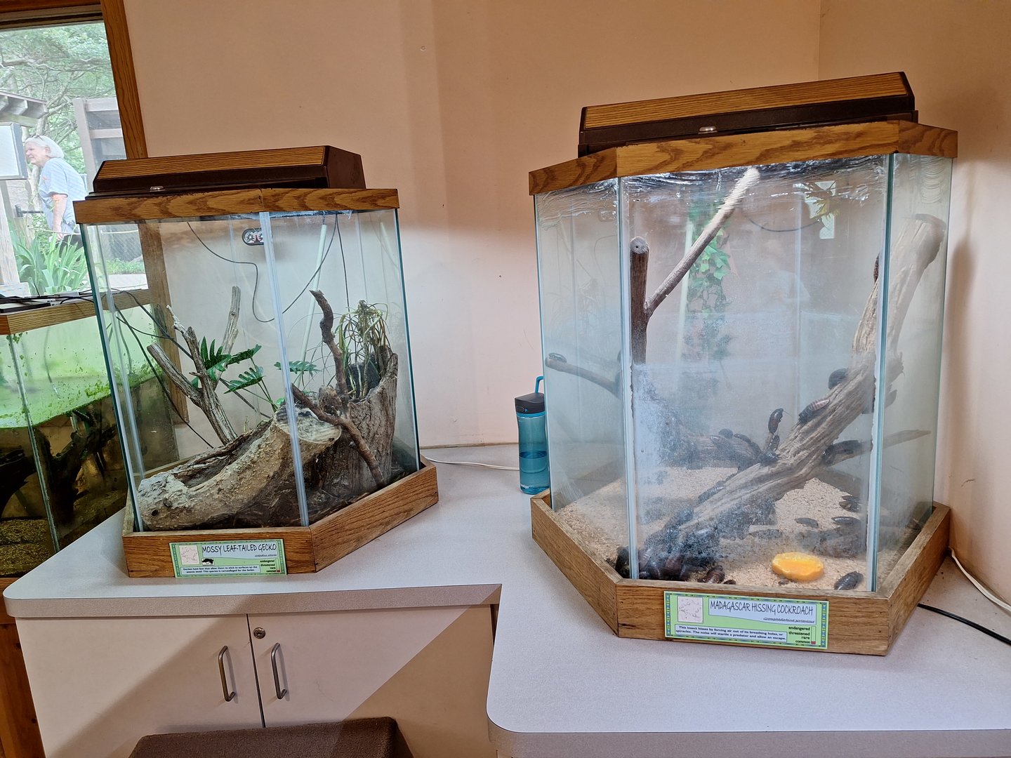 ZooLab terrariums