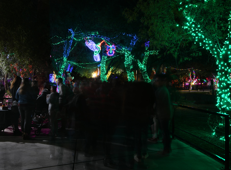 ZooLights 2019