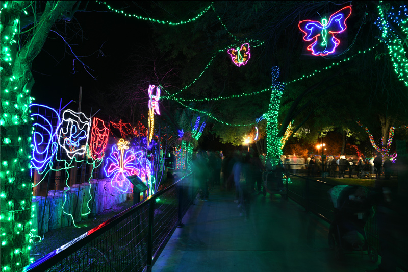 ZooLights 2019
