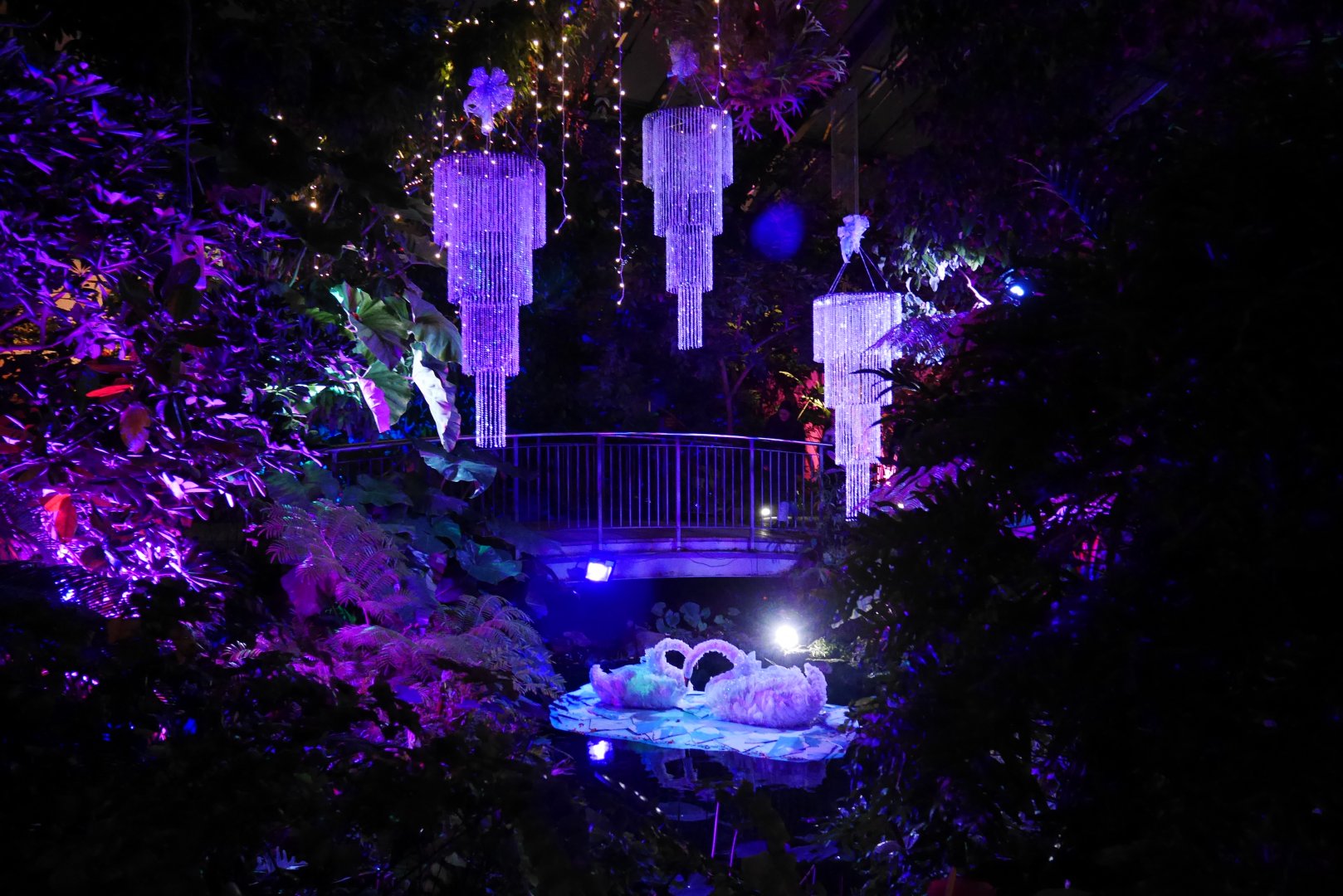 Zoolights 2023 - Enmax Conservatory