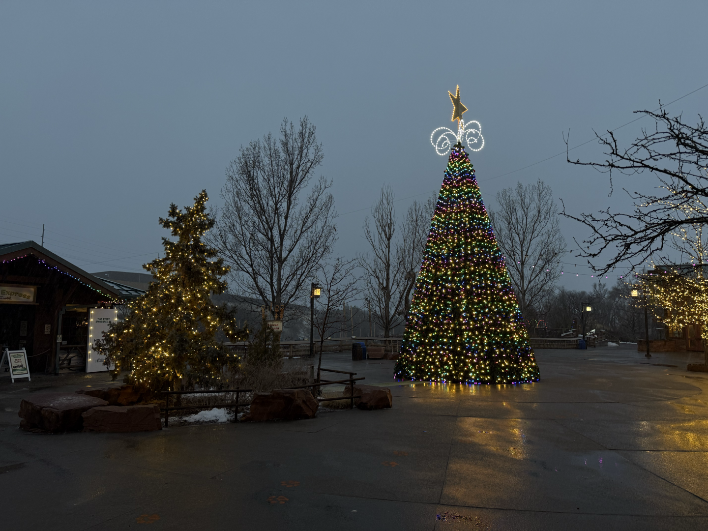 ZooLights Decorations - Entrance Plaza