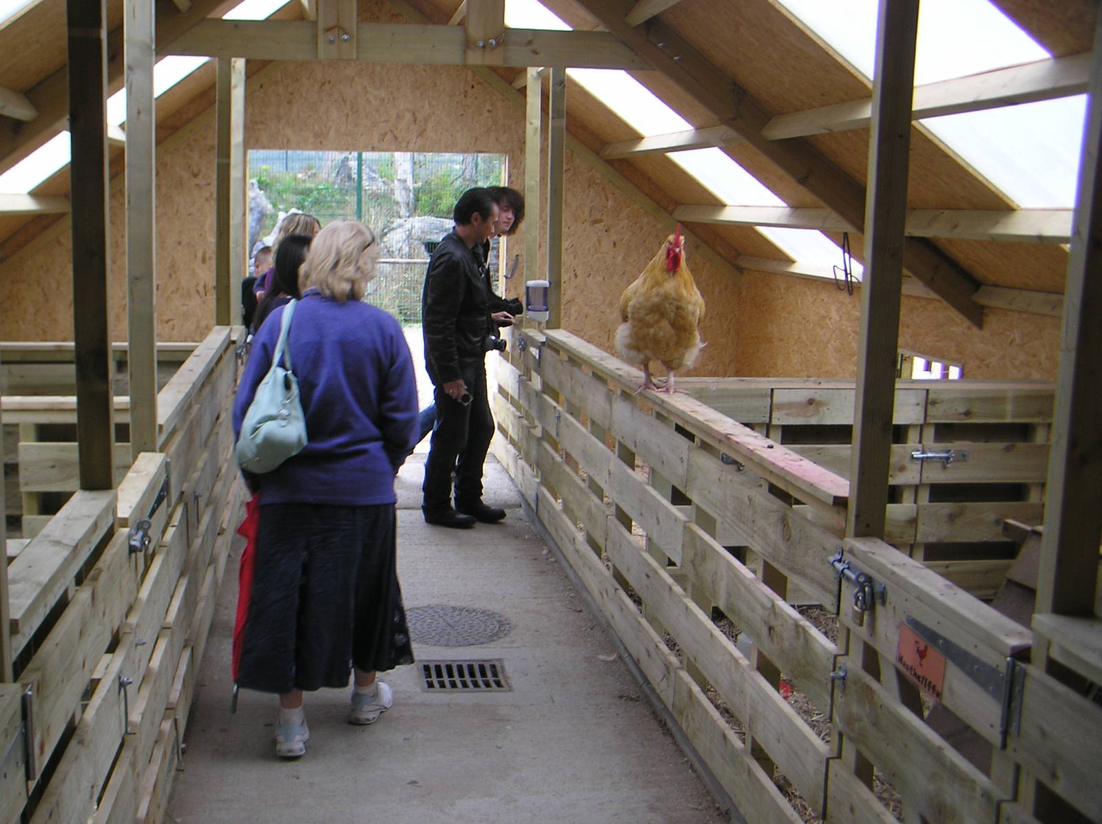 ZooLittle Farm Interior