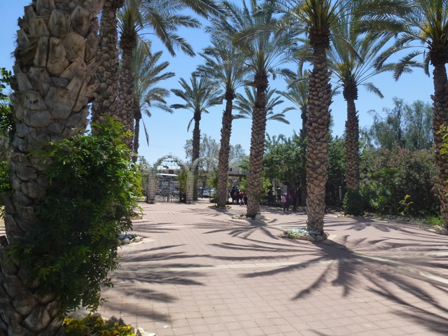 Zoological Garden of Beersheba 25.4.13