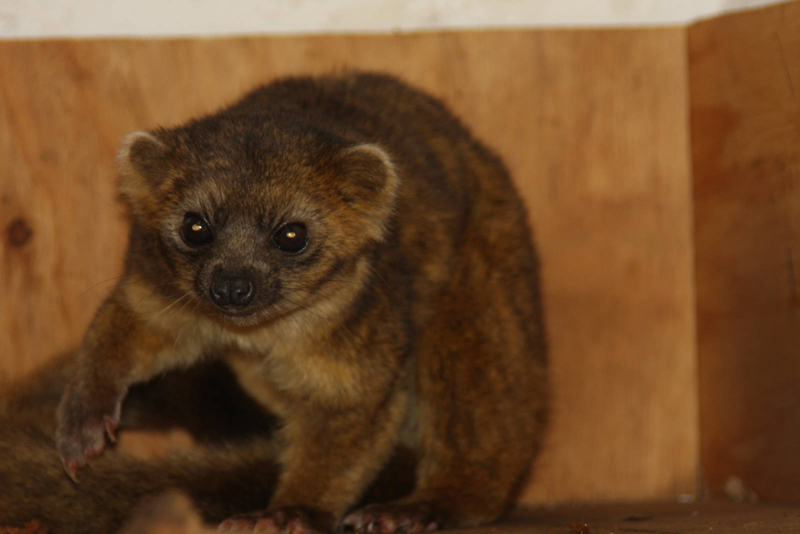 Zoologico de Cali 2012