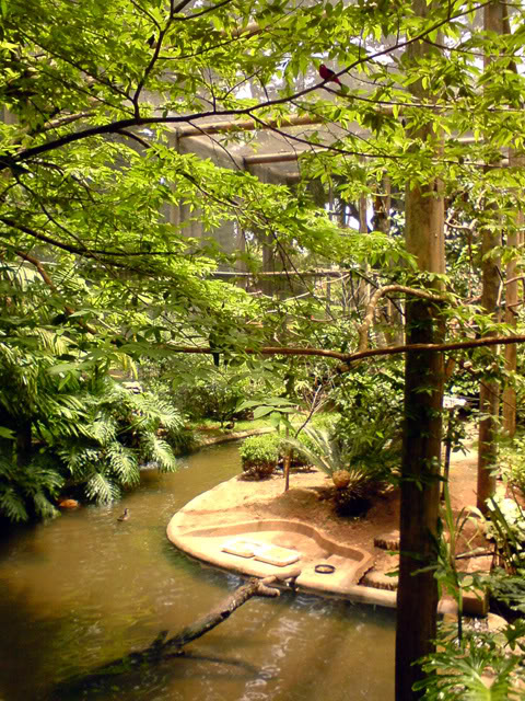 Zoologico Municipal Sorocaba - Aviary