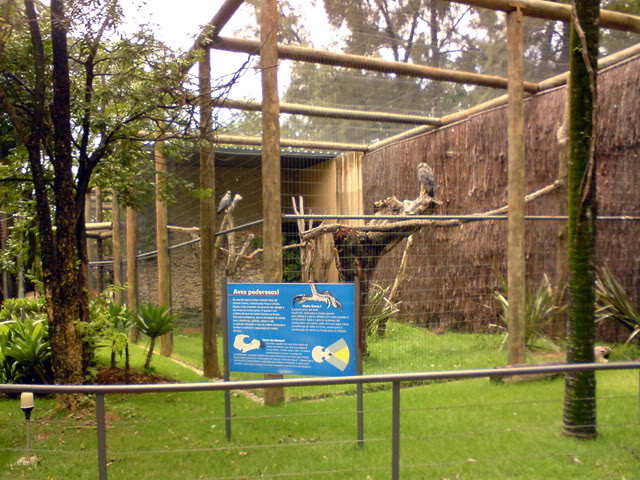 Zoologico Municipal Sorocaba - Birds of Prey
