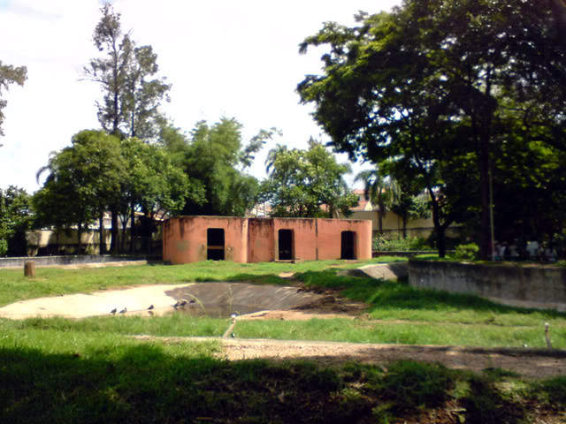 Zoologico Municipal Sorocaba - Elephants