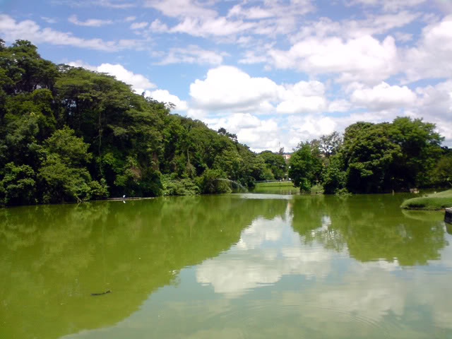 Zoologico Municipal Sorocaba - Lake