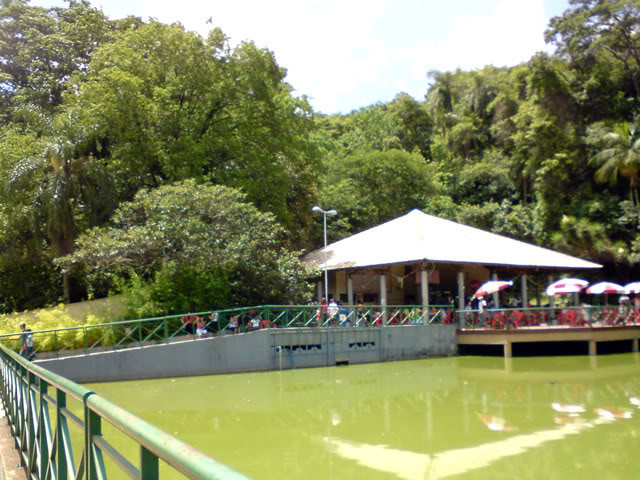 Zoologico Municipal Sorocaba - Restaurant