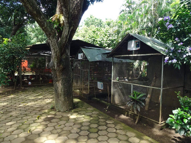 Zoológico Nacional de Nicaragua: aviaries overview