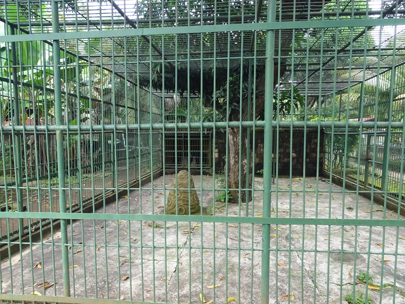 Zoológico Nacional de Nicaragua: chimpanzee enclosure