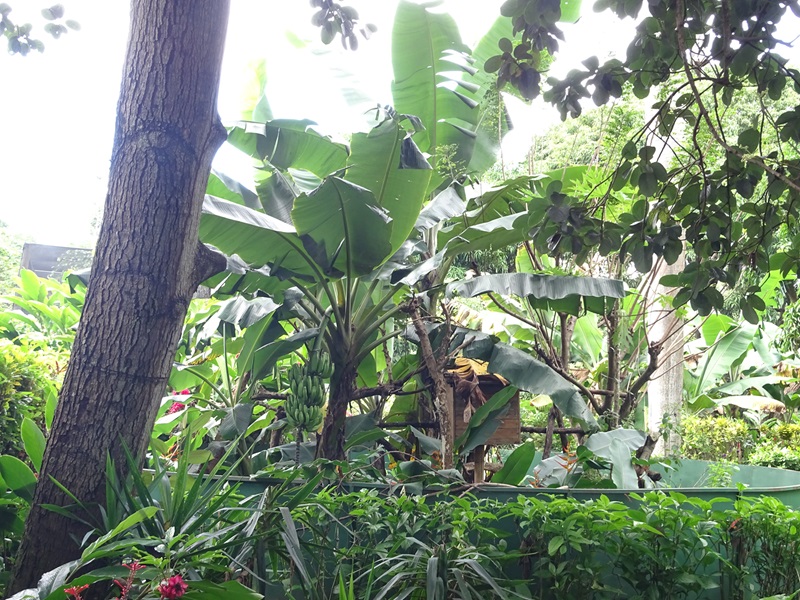 Zoológico Nacional de Nicaragua: Empty enclosure