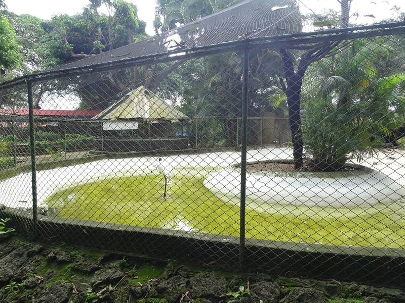 Zoológico Nacional de Nicaragua: Jabiru aviary