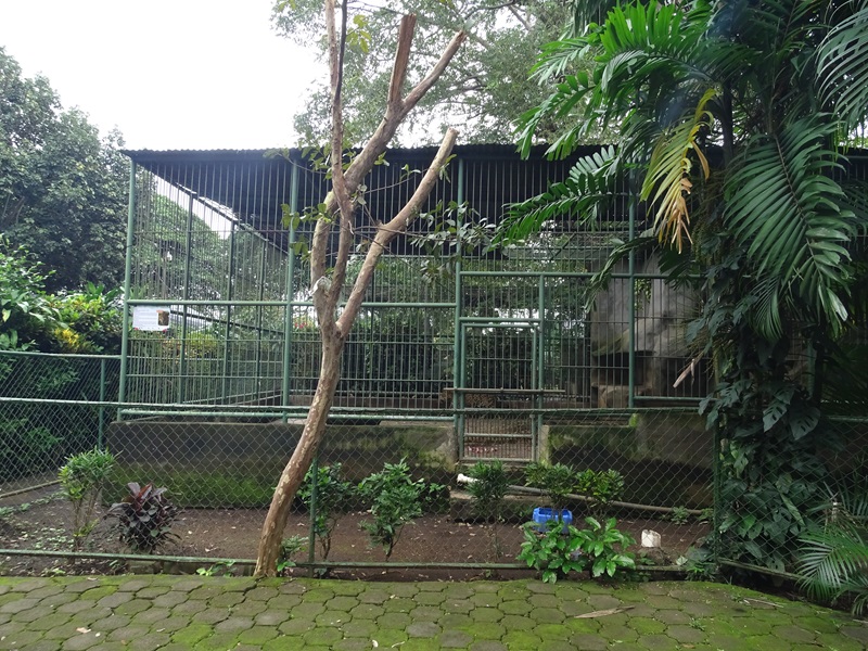 Zoológico Nacional de Nicaragua: Jaguar enclosure
