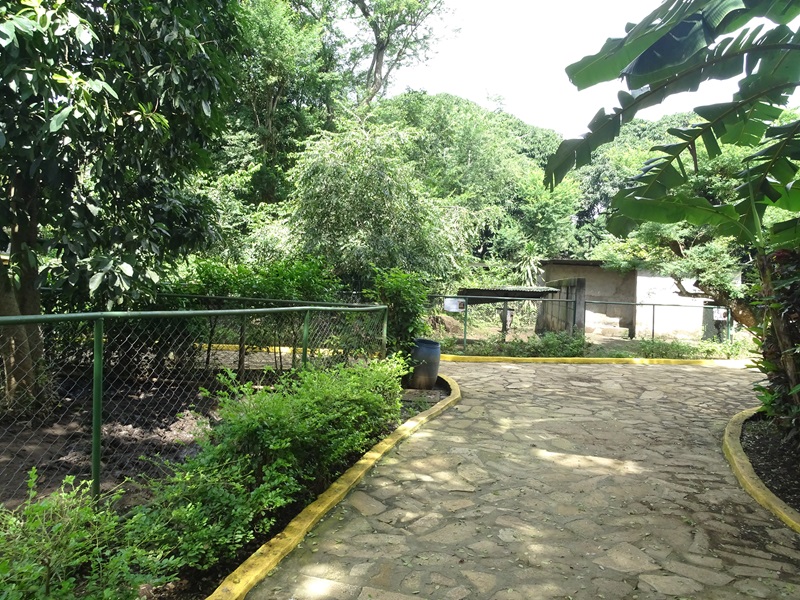 Zoológico Nacional de Nicaragua: one of 8 (!) Bairds tapir enclosures