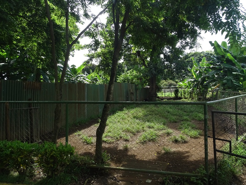 Zoológico Nacional de Nicaragua: one of 8 (!) Bairds tapir enclosures