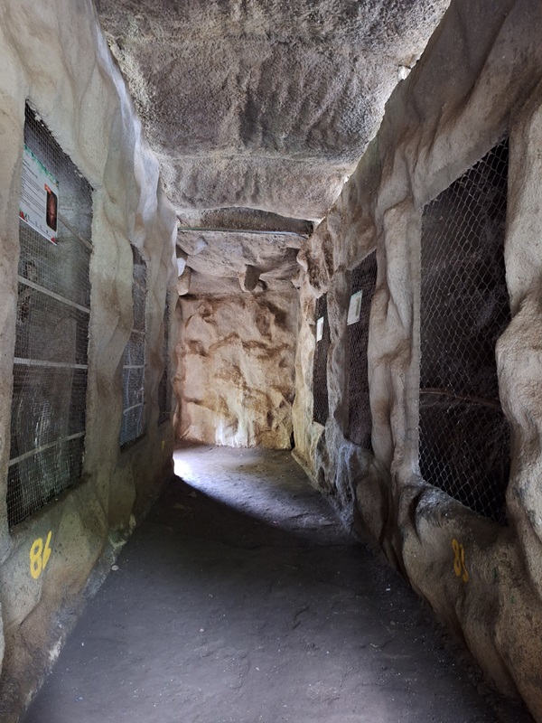 Zoológico Nacional de Nicaragua: Owl enclosures