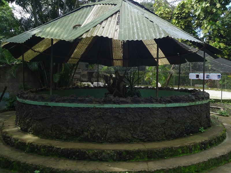 Zoológico Nacional de Nicaragua: plumed basilisk enclosure