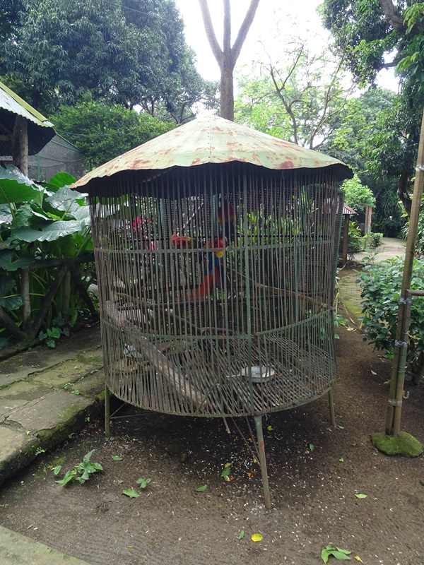 Zoológico Nacional de Nicaragua: Scarlet macaw cage