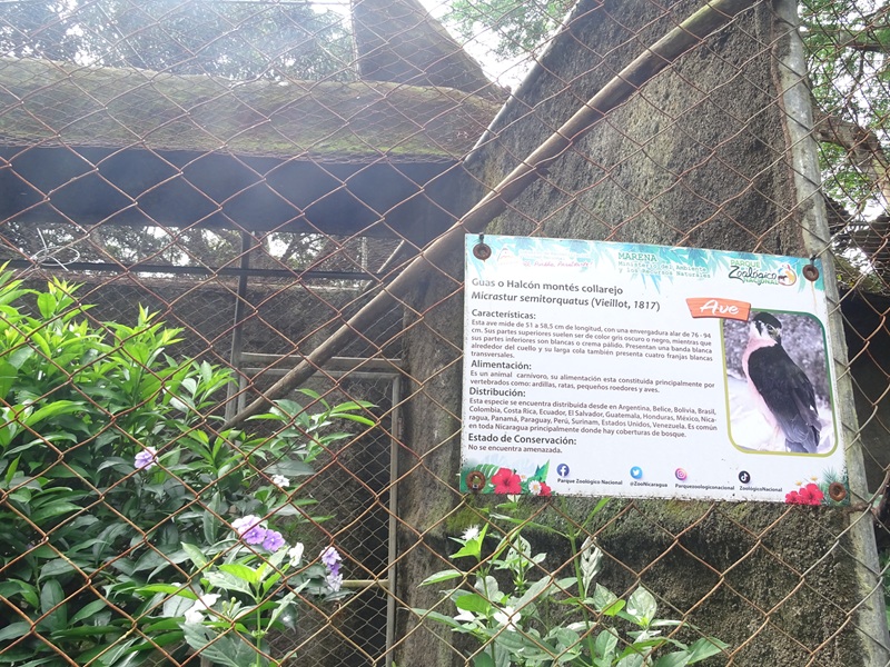 Zoológico Nacional de Nicaragua: signage example
