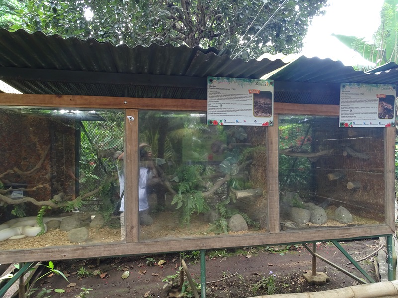 Zoológico Nacional de Nicaragua: snake terraria