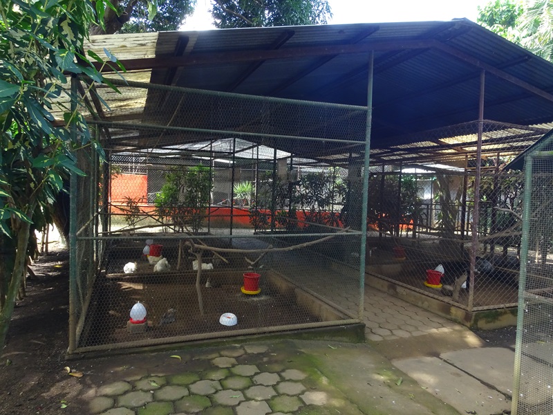 Zoológico Nacional de Nicaragua: various aviaries