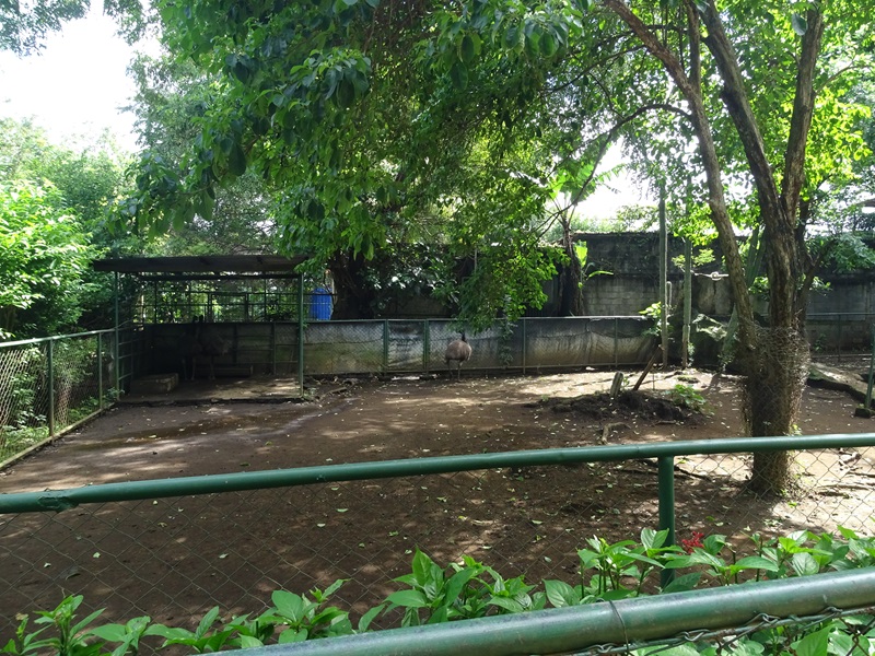 Zoológico Nacional de Nicaragua:
