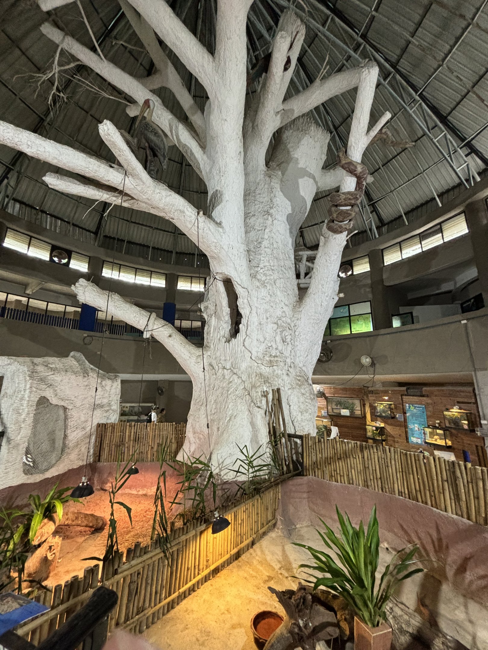 Zoology Discovery Center