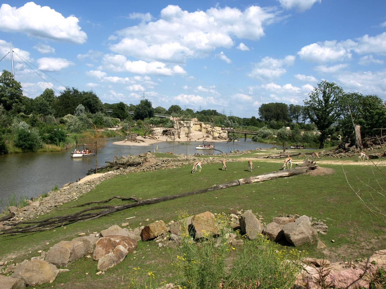 ZOOM - African river landscape