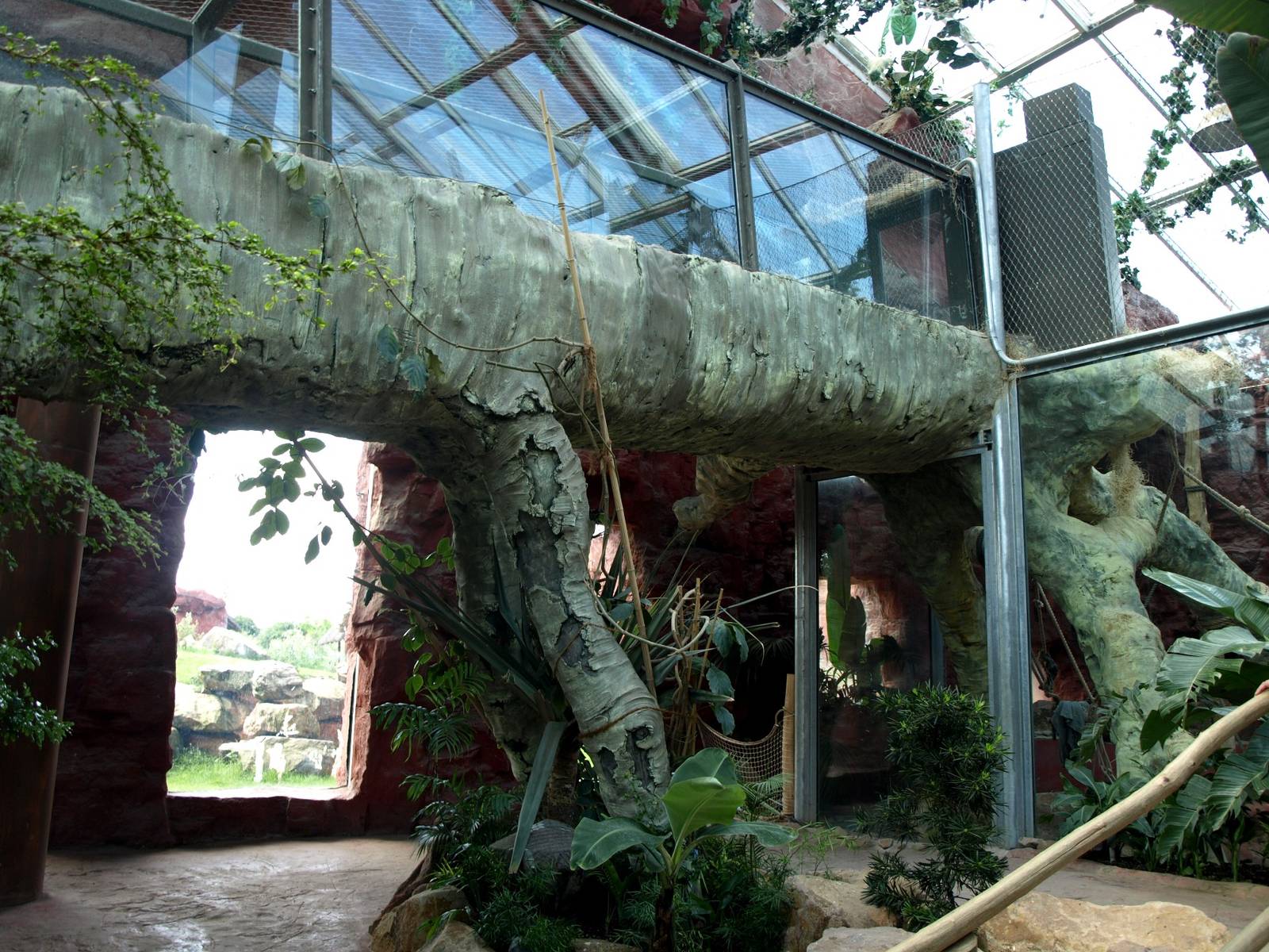 ZOOM - Chimpanzee indoor exhibit