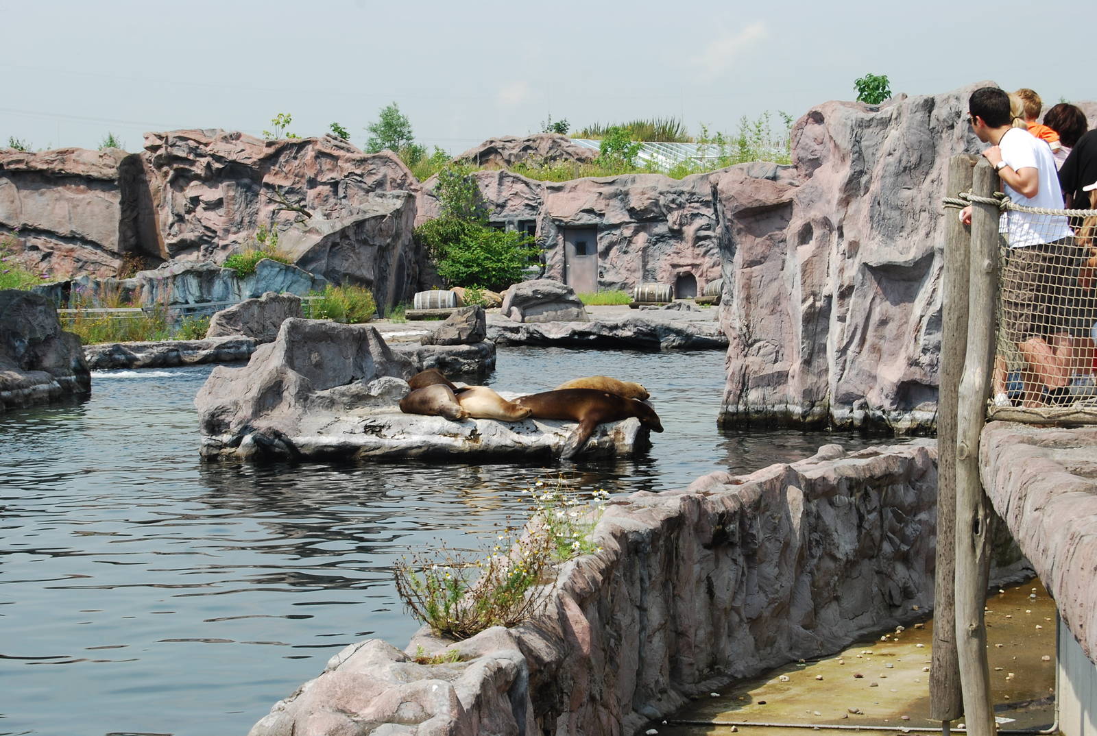 Zoom Erlebnis Gelsenkirchen - July 2008