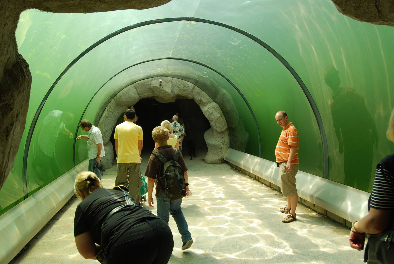 Zoom Erlebnis Gelsenkirchen - July 2008