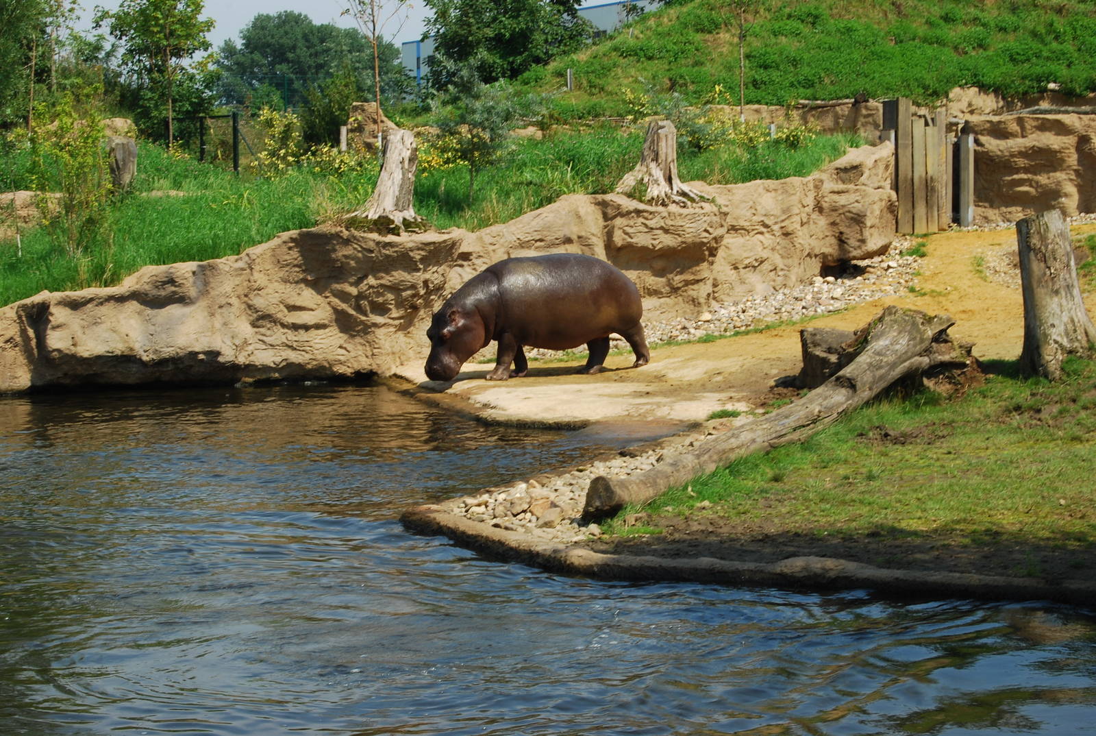 Zoom Erlebnis Gelsenkirchen - July 2008
