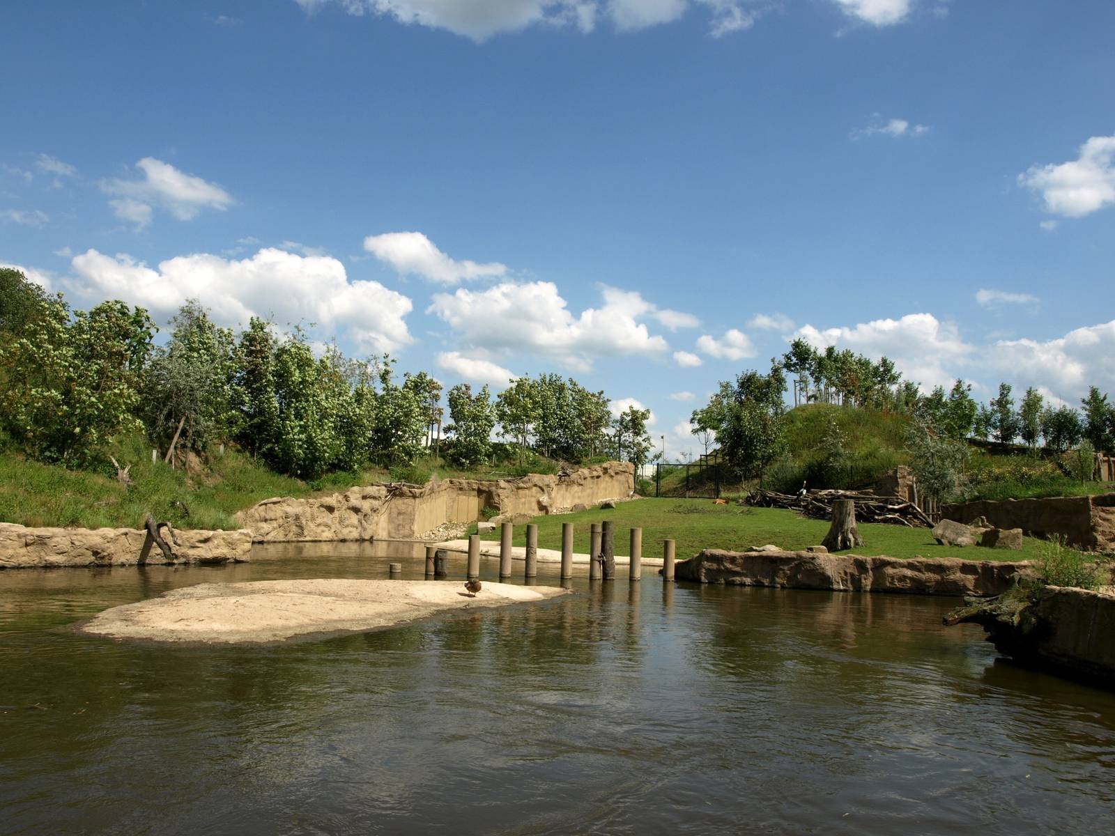ZOOM - Hippo exhibit