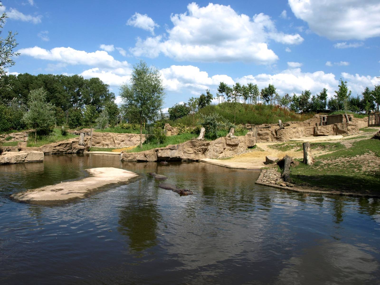 ZOOM - Hippo exhibit