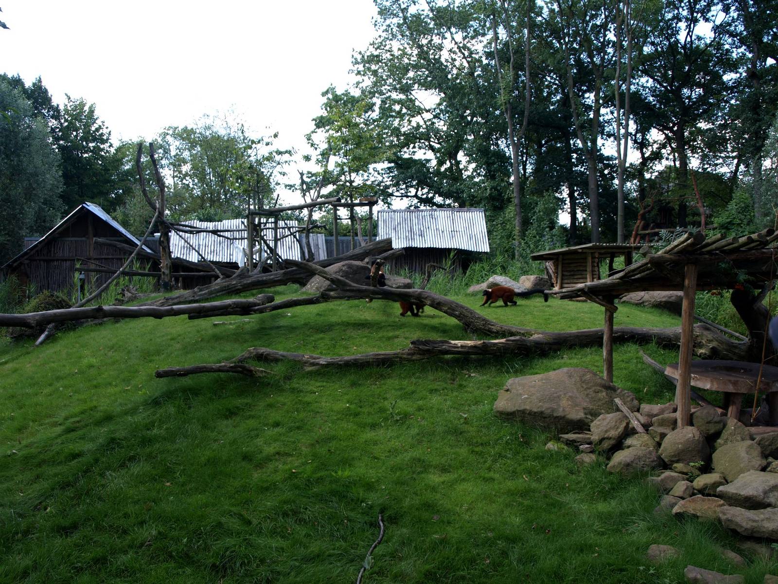 ZOOM - Madagascar Island