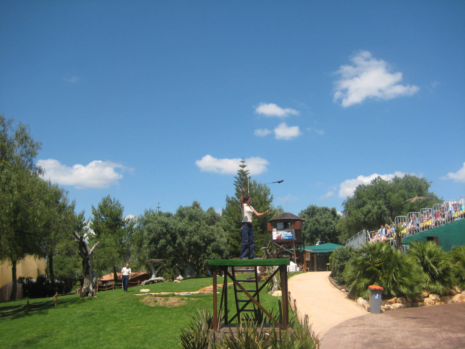 Zoomarine - Falconary show