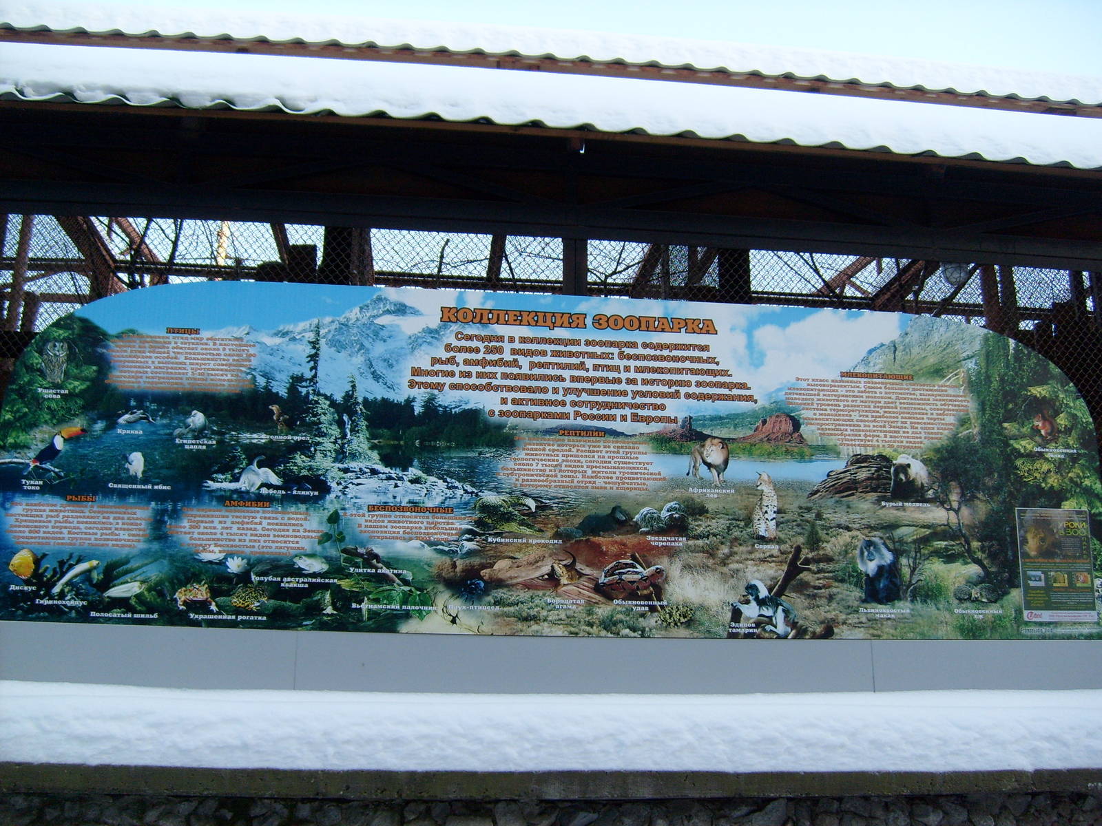 Zoo's collection info board (demolished)
